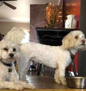 Meet your Posher, Matea